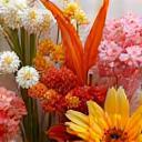 Arreglos florales estacionales