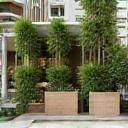 Diseños decorativos para jardín